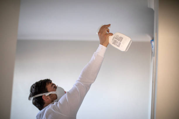 Best Fast Mold Removal  in Alliae, NC